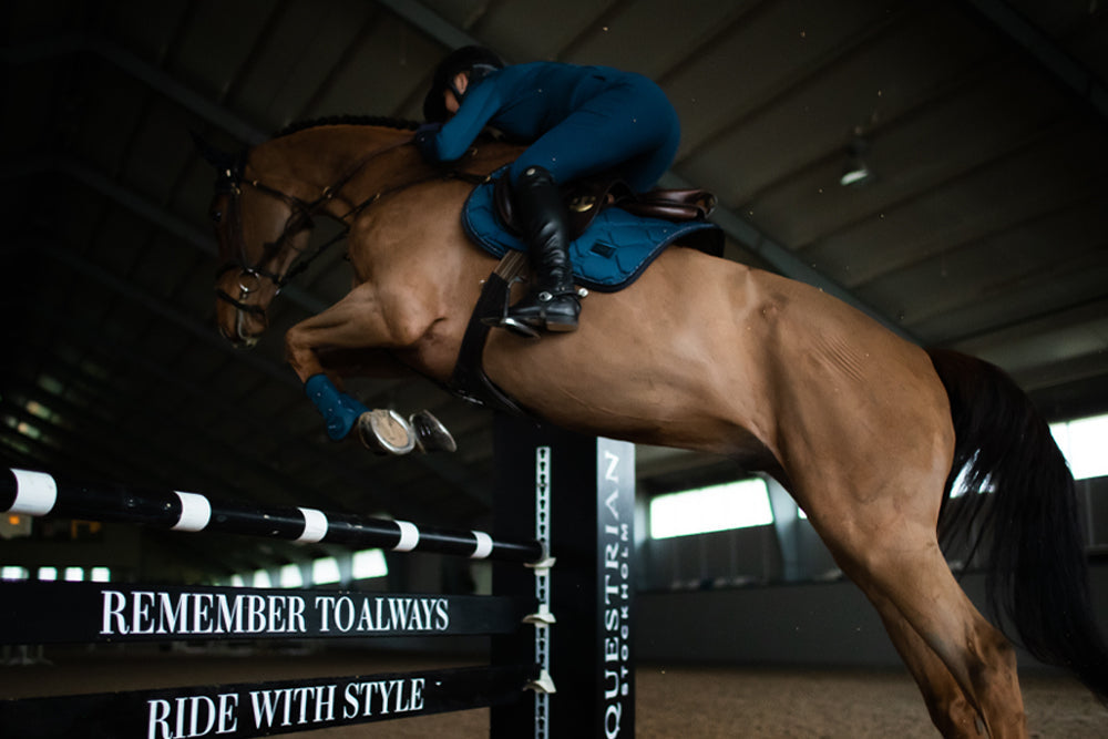Riding Breeches Jump Elite Blue Meadow vue 3