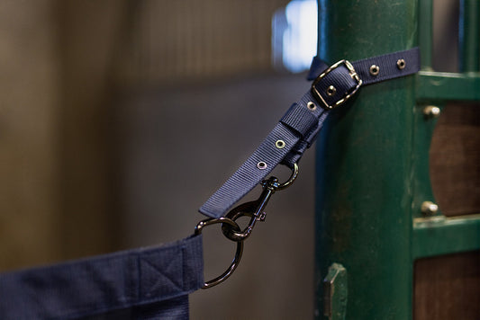 Stable Guard Blue Meadow