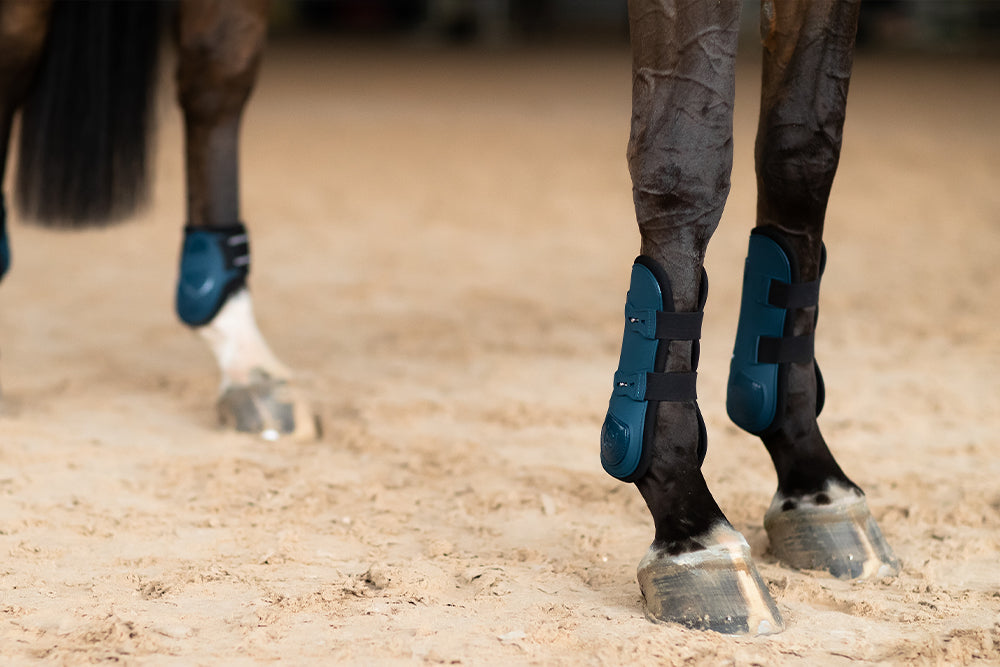 blue-meadow-tendon-boots-framskydd-peesbeschermers-frontschutz-on2 vue 4