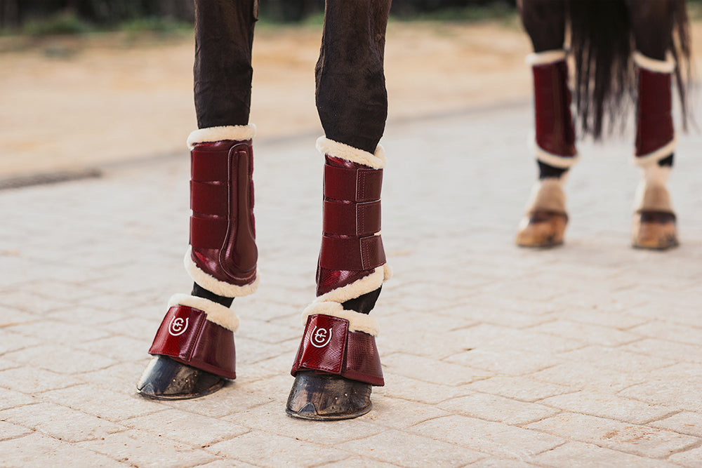 Bell Boots Bordeaux