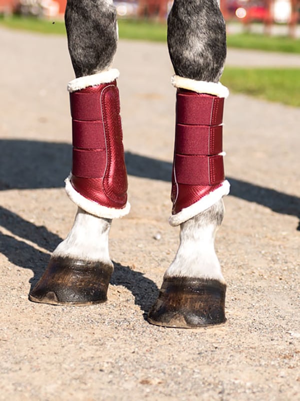 Brushing Boots Bordeaux vue 2