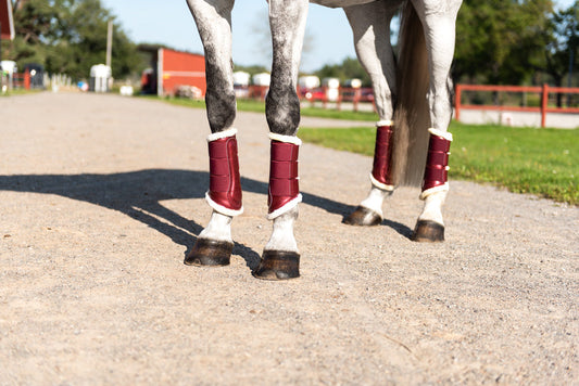 Brushing Boots Bordeaux