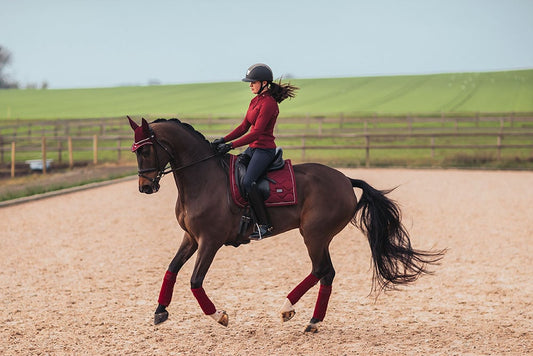 Dressage Saddle Pad Bordeaux Full