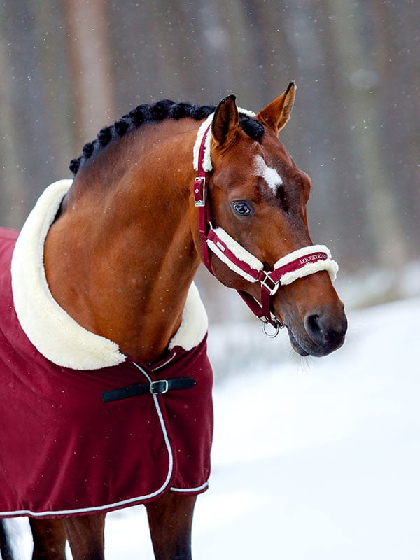 Fur Halter & Lead Rope Bordeaux vue 3