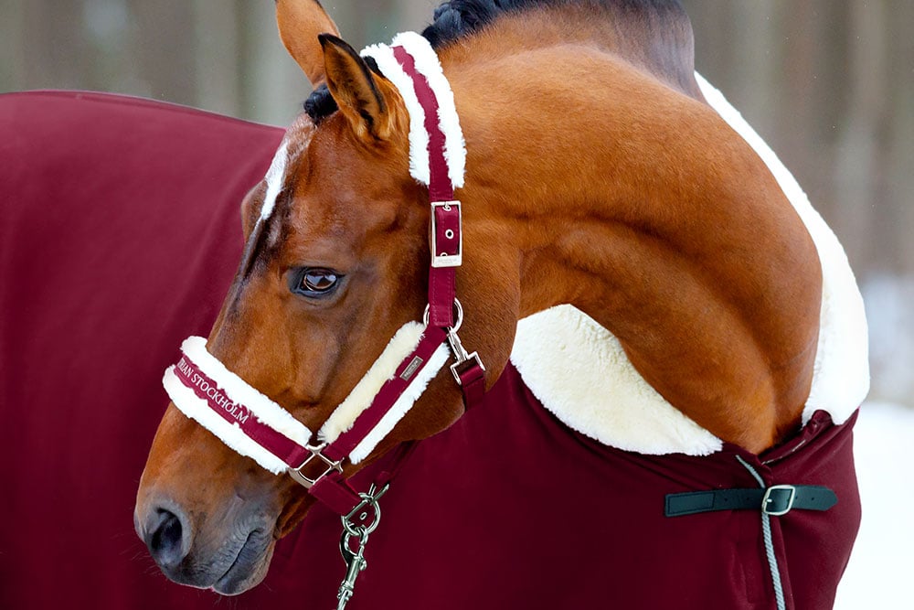 Fur Halter & Lead Rope Bordeaux vue 4