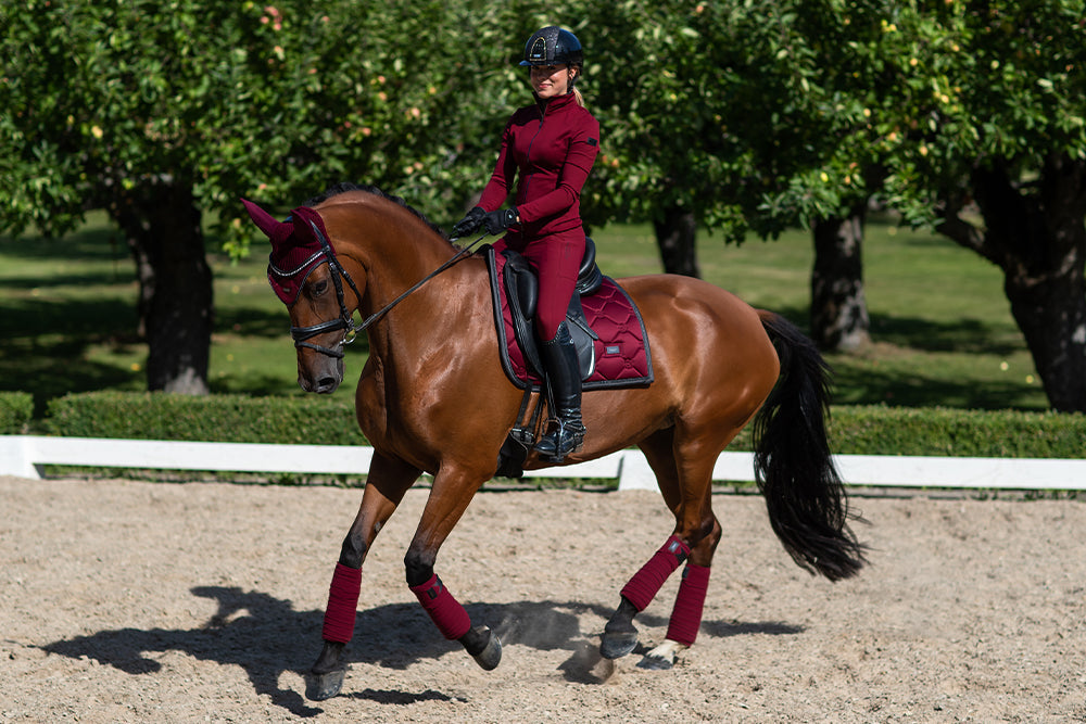 Explore Jacket Bordeaux