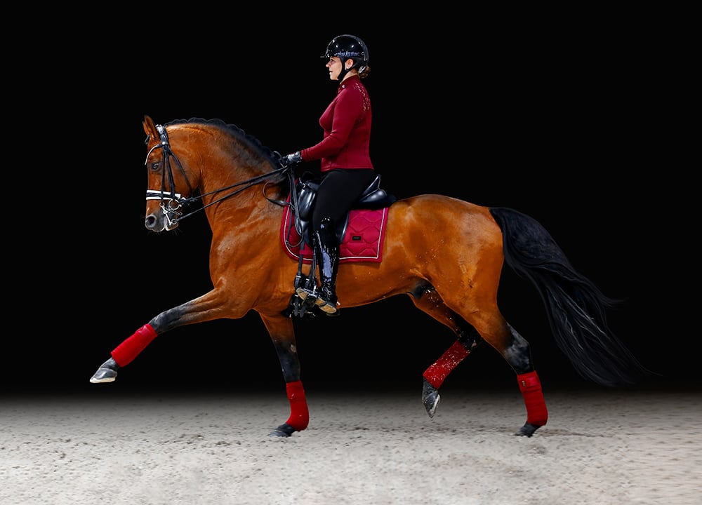 Dressage Saddle Pad Bordeaux Full vue 5