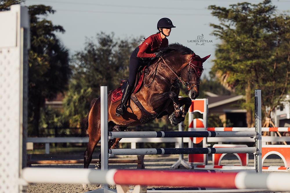 Jump Saddle Pad Bordeaux Full vue 6