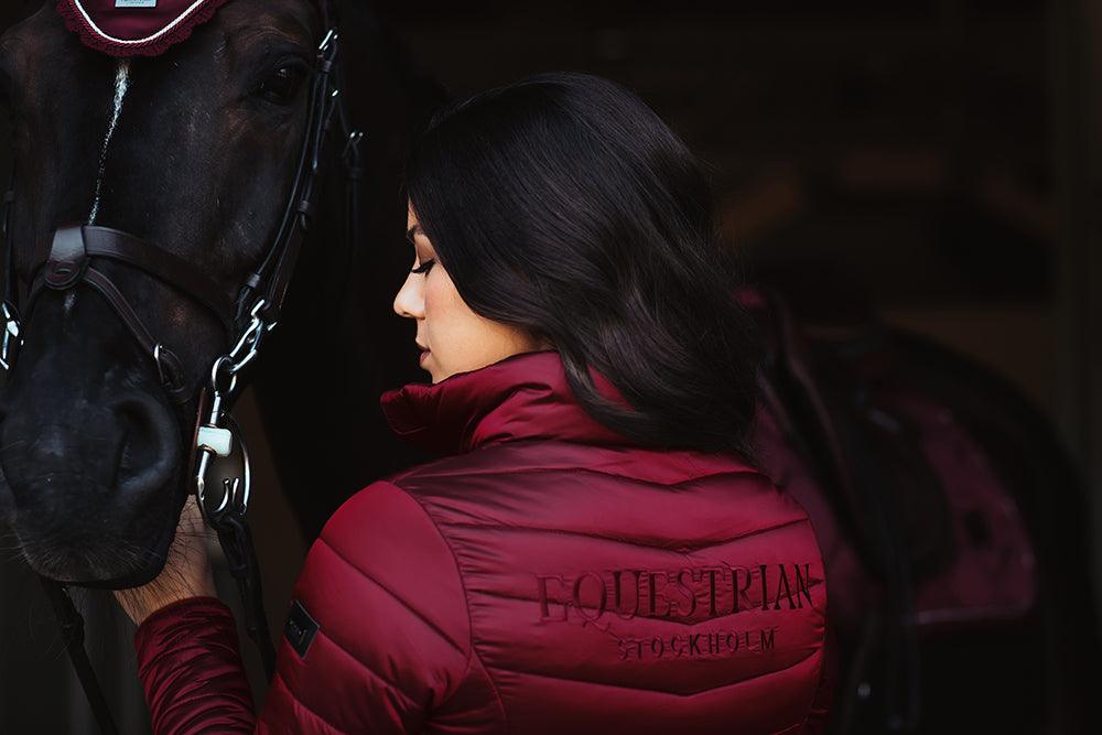 Light weight jacket Bordeaux vue 6