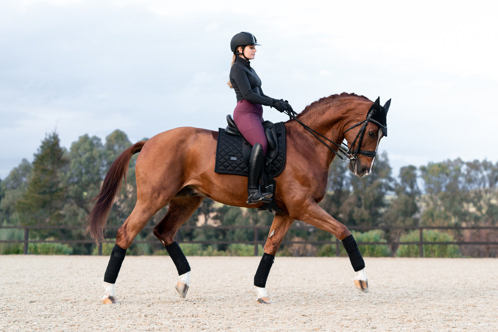 Riding Breeches Dressage Elite Merlot vue 7