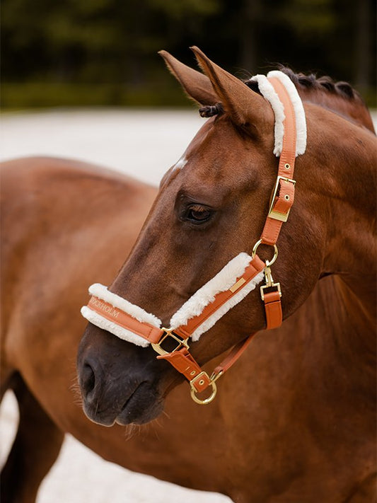 Fur Halter & Lead Rope Bronze Gold
