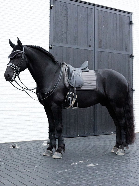 Dressage Saddle Pad Air Mesh Dark Arcus Full
