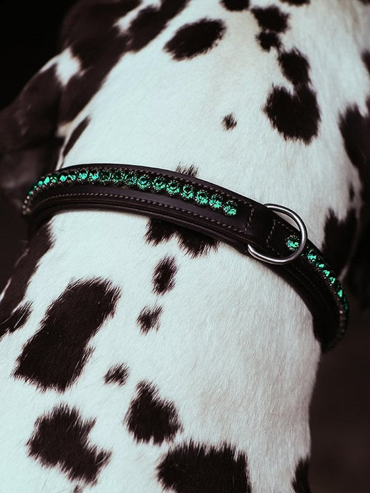 Dog Collar Deep Olivine