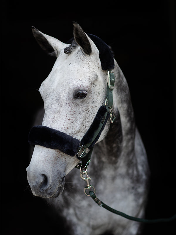 Fur Halter & Lead Rope Deep Olivine