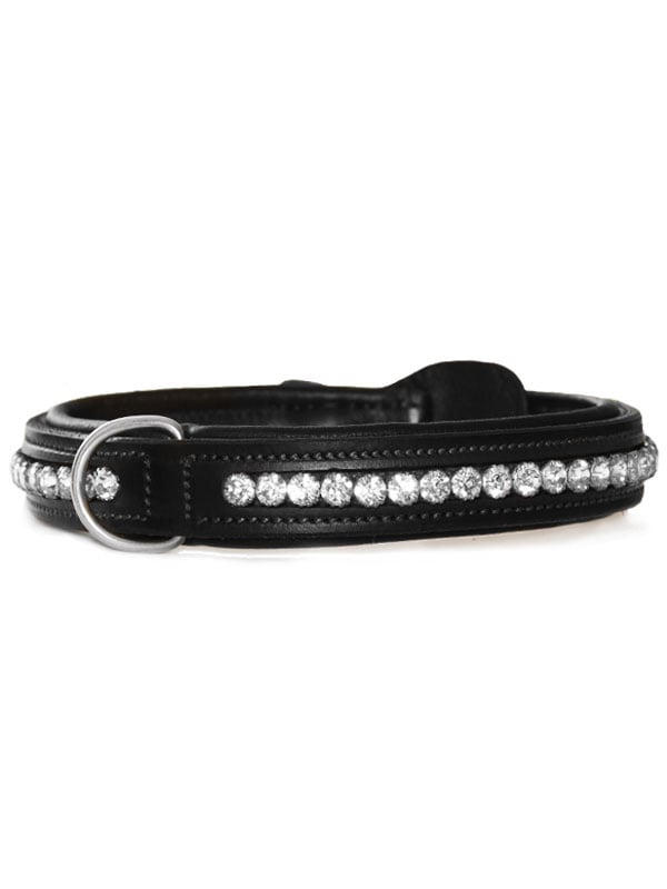 Dog Collar Black Edition vue 1