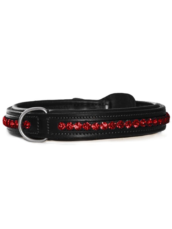 Dog Collar Bordeaux vue 1