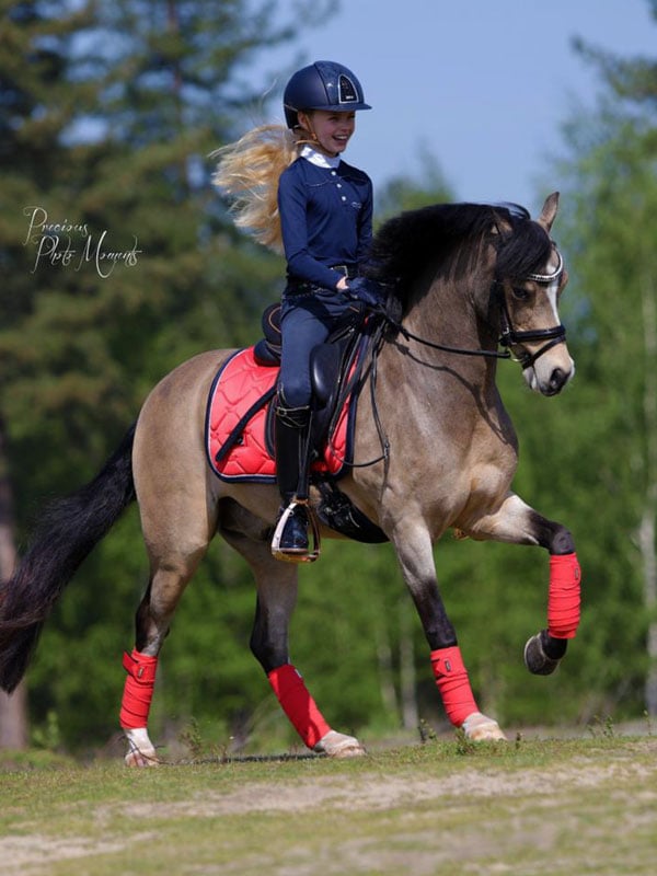 Dressage Saddle Pad Grenadine Cob vue 3