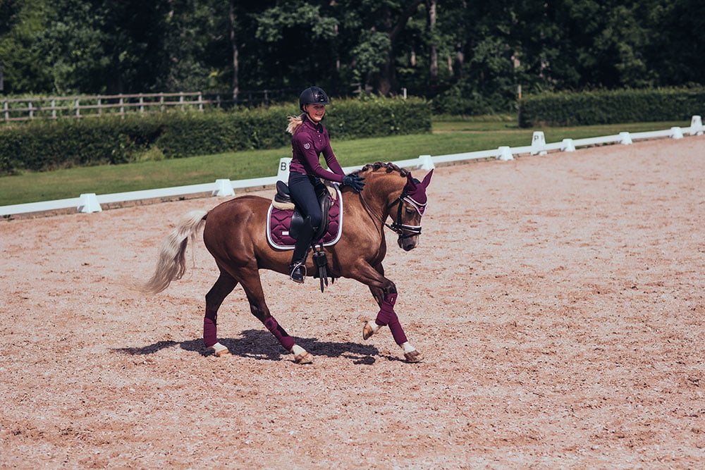 Dressage Saddle Pad Purple White Edge Cob