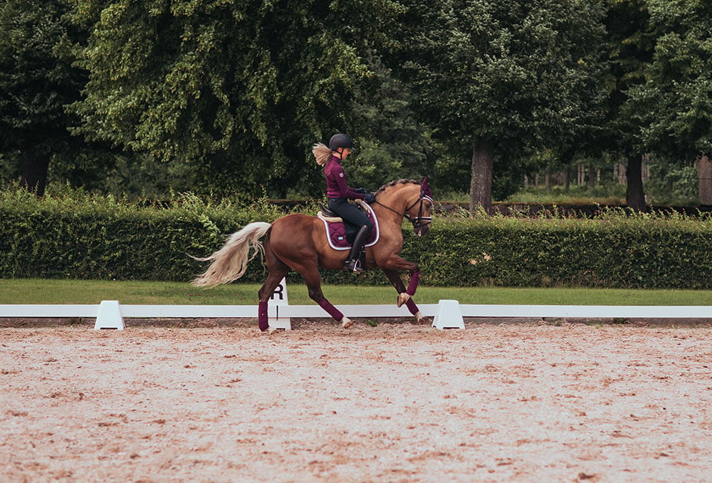 Dressage Saddle Pad Purple White Edge Cob