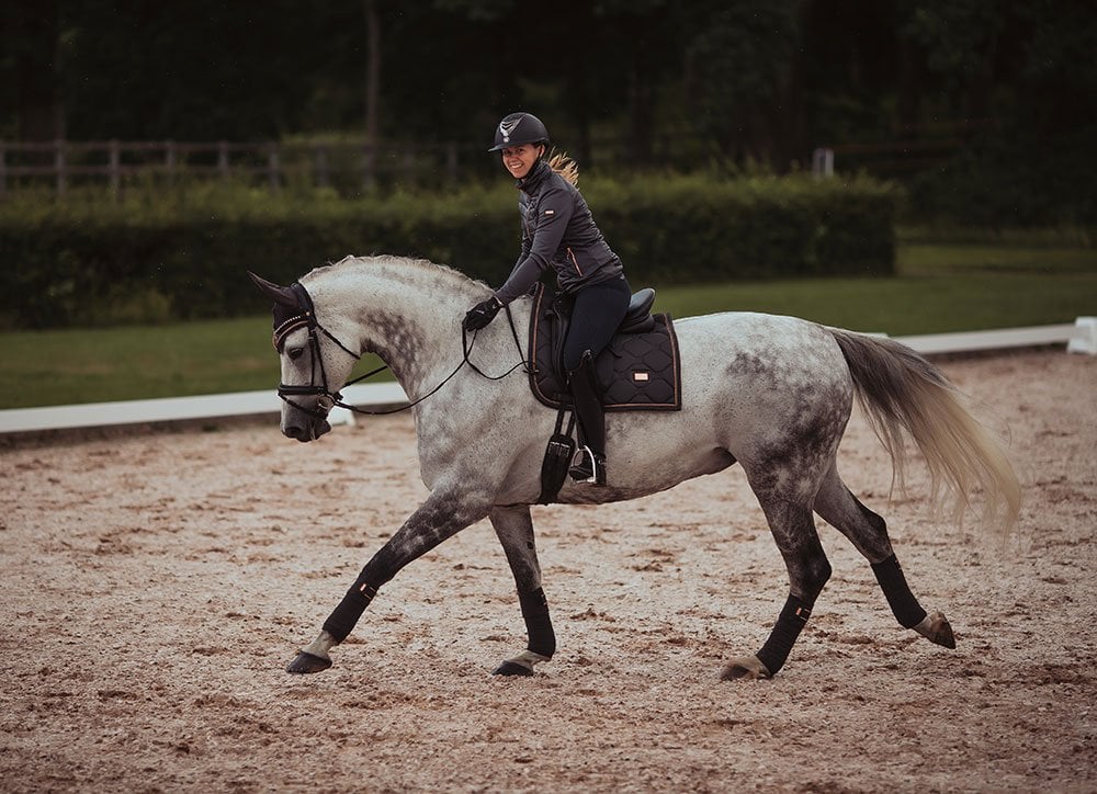 Dressage Saddle Pad Dark Sky Full