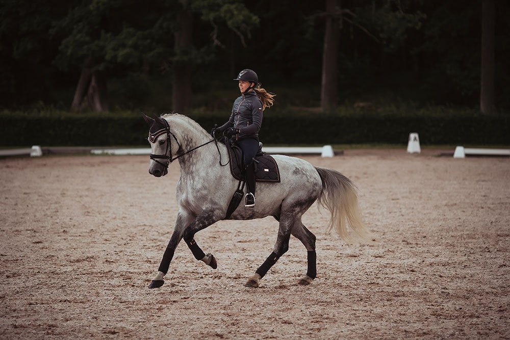 Dressage Saddle Pad Dark Sky Full