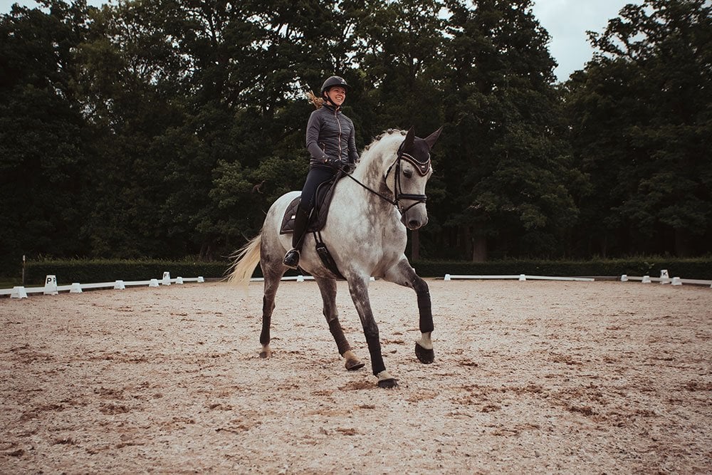 Dressage Saddle Pad Dark Sky Full