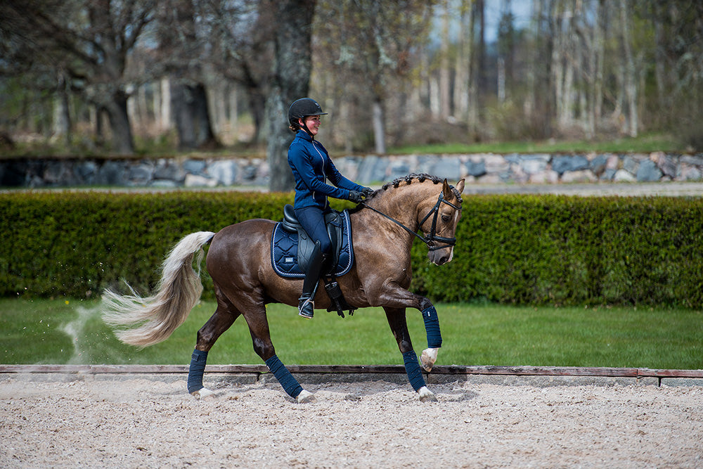 Dressage Saddle Pad Midnight Blue Cob vue 3