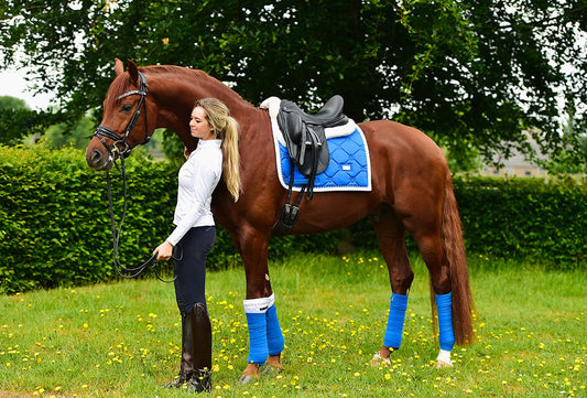 Polo Wraps Sapphire