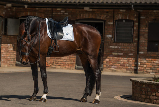 Dressage Saddle Pad White Perfection Silver Full