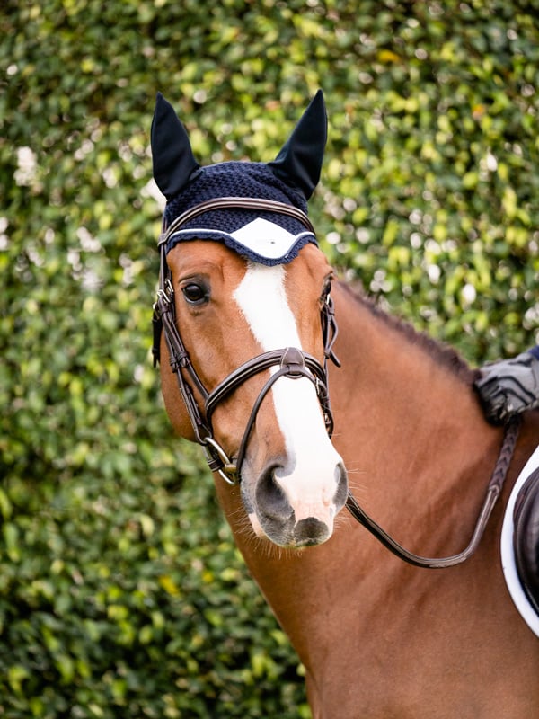 Ear Bonnet Midnight White Edge
