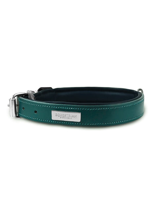 Dog Collar Clean Emerald