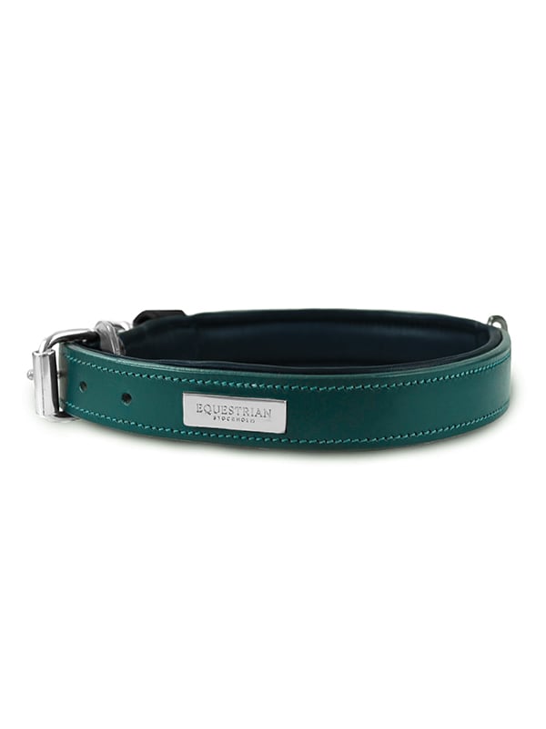 Dog Collar Clean Emerald
