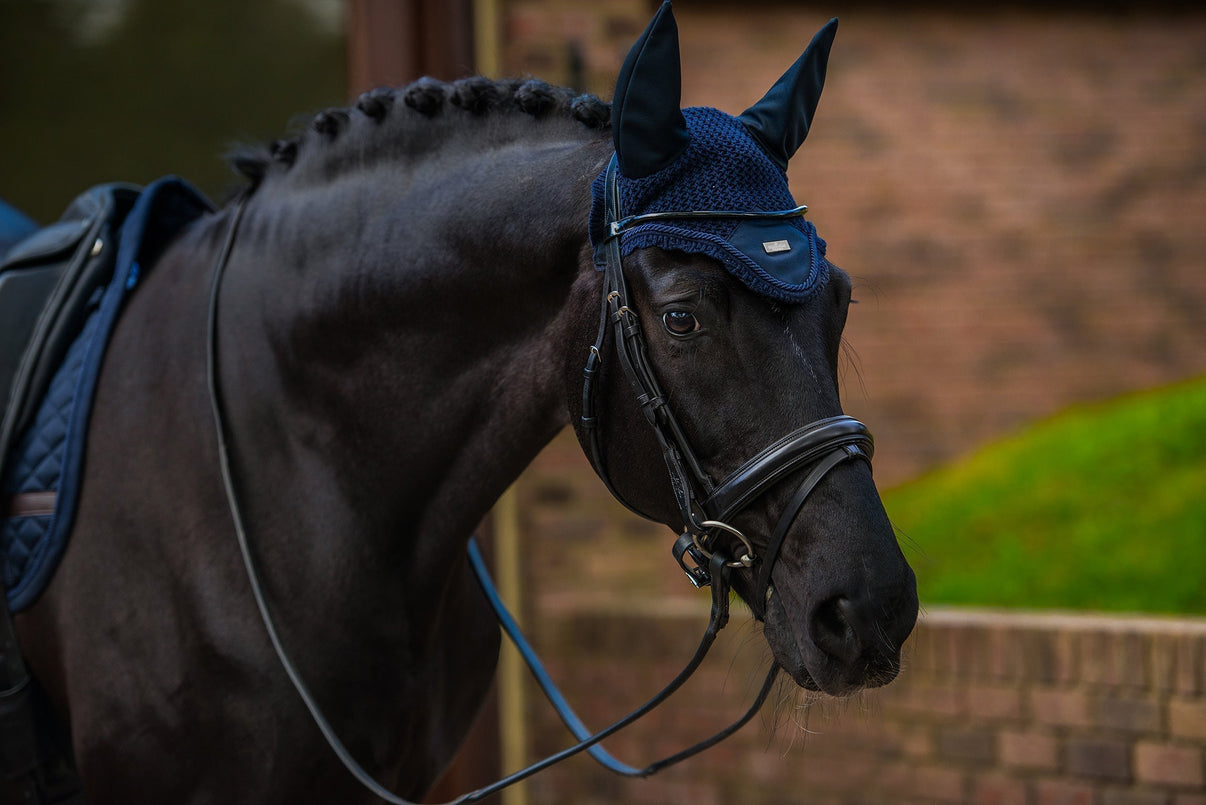 Plain Ear Bonnet Navy Silver vue 3
