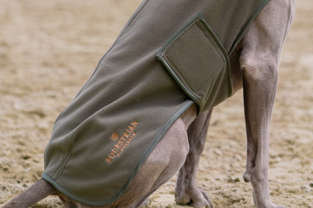 Dog Rug Fleece Evening Haze vue 3