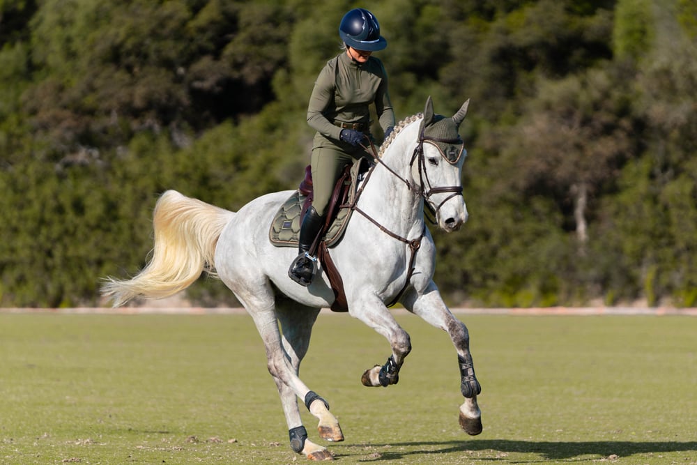 Riding Breeches Jump Evening Haze vue 9