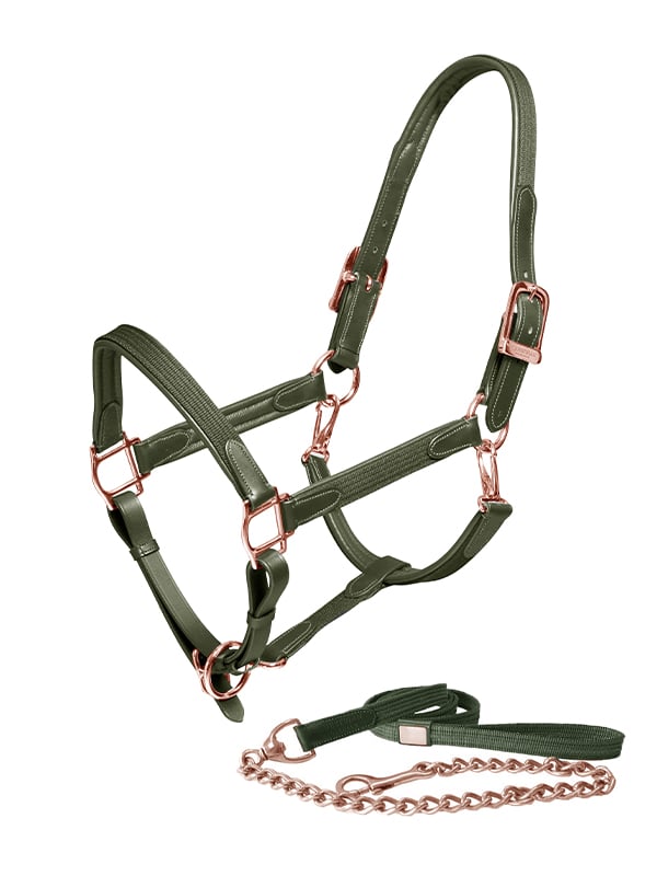 Leather Halter & Lead Rope Evening Haze