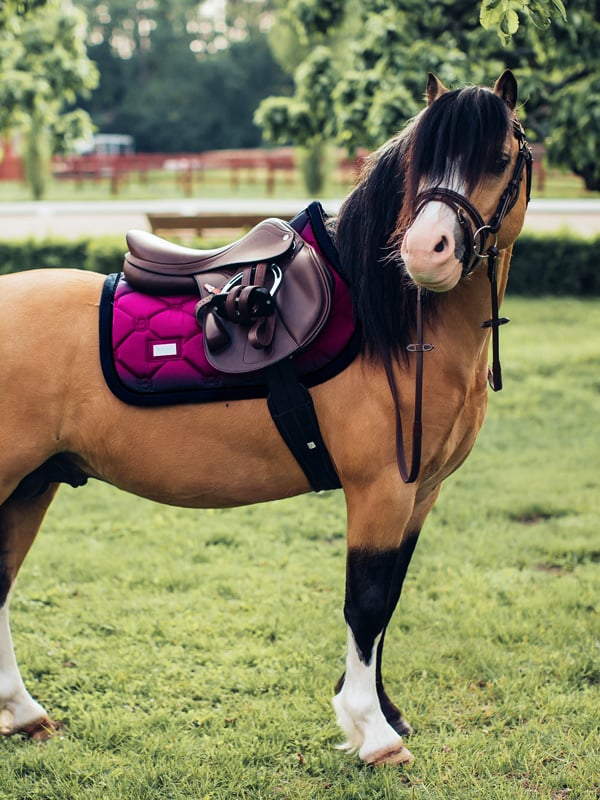 Jump Saddle Pad Faded Fuchsia Pony