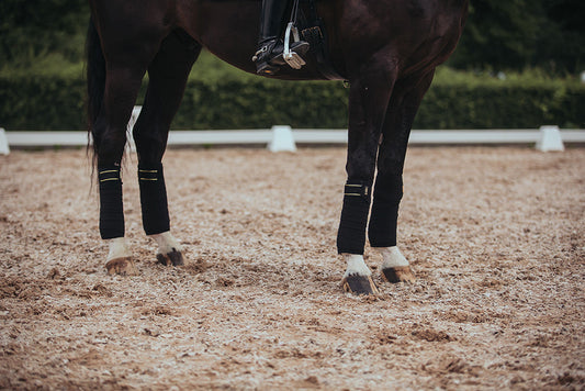 Polo Wraps Black Gold