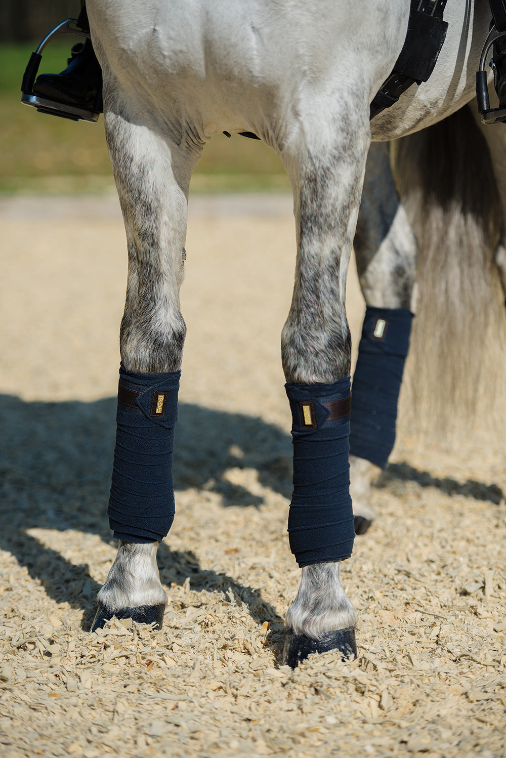 Dressage Saddle Pad Royal Classic Cob