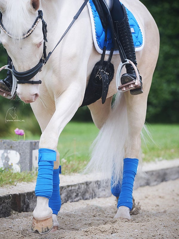 Polo Wraps Sapphire