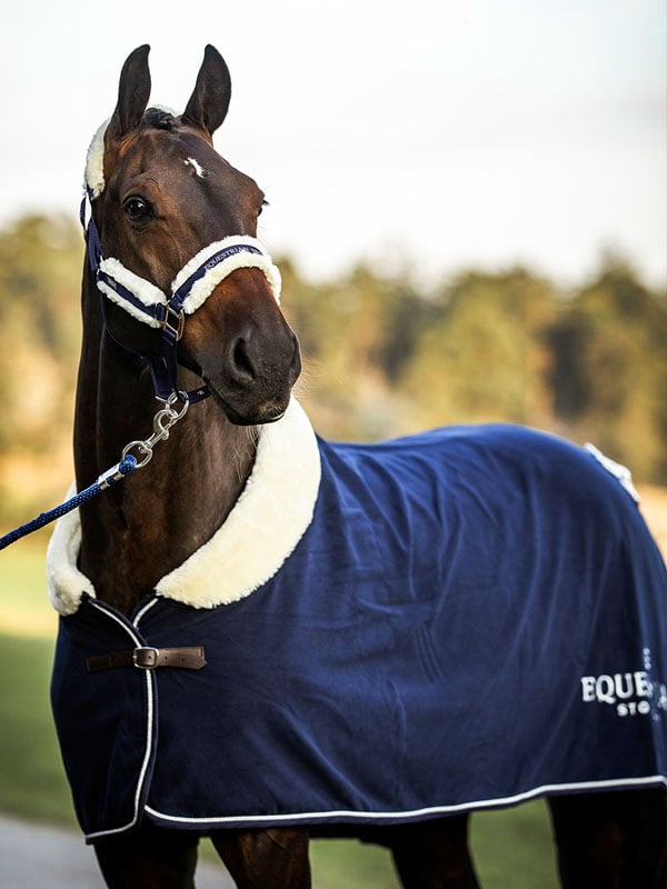 Fur Halter & Lead Rope Navy vue 2