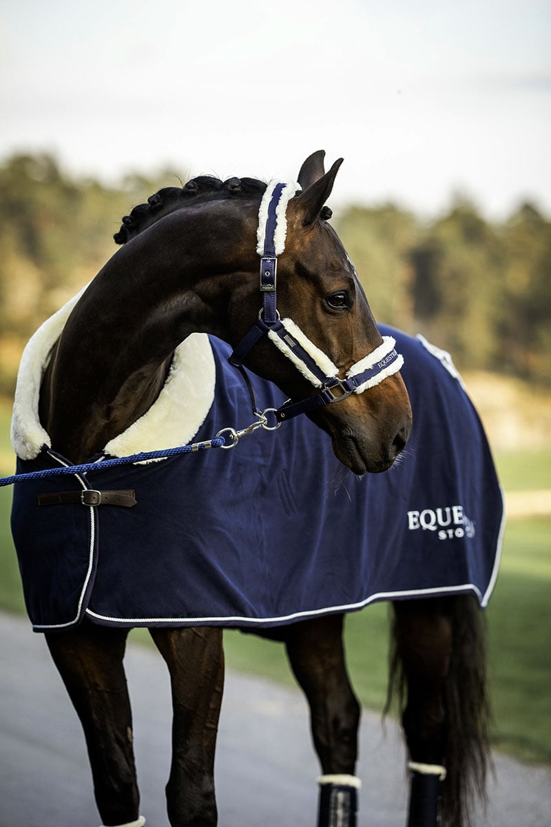 Fur Halter & Lead Rope Navy vue 3