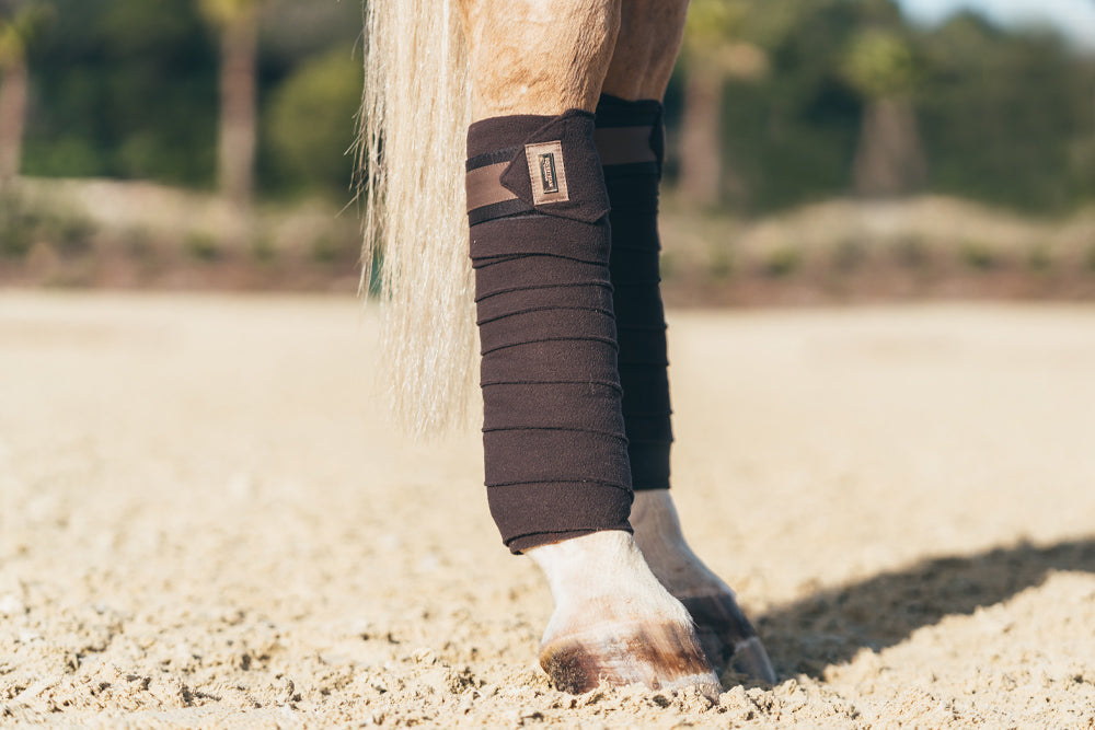 Polo Wraps Golden Brown vue 3