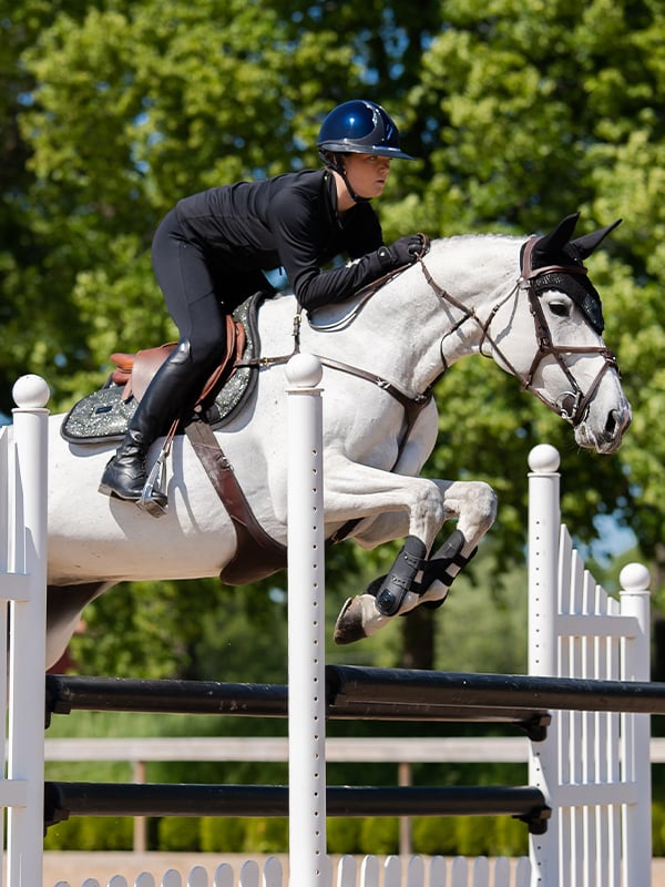 Jump Saddle Pad Northern Light Glimmer Full vue 3