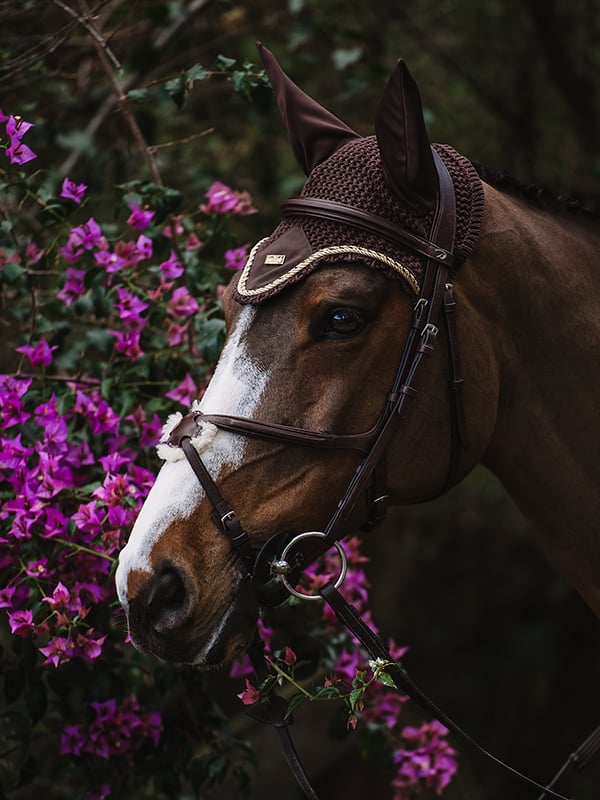 Ear Bonnet Golden Brown vue 2