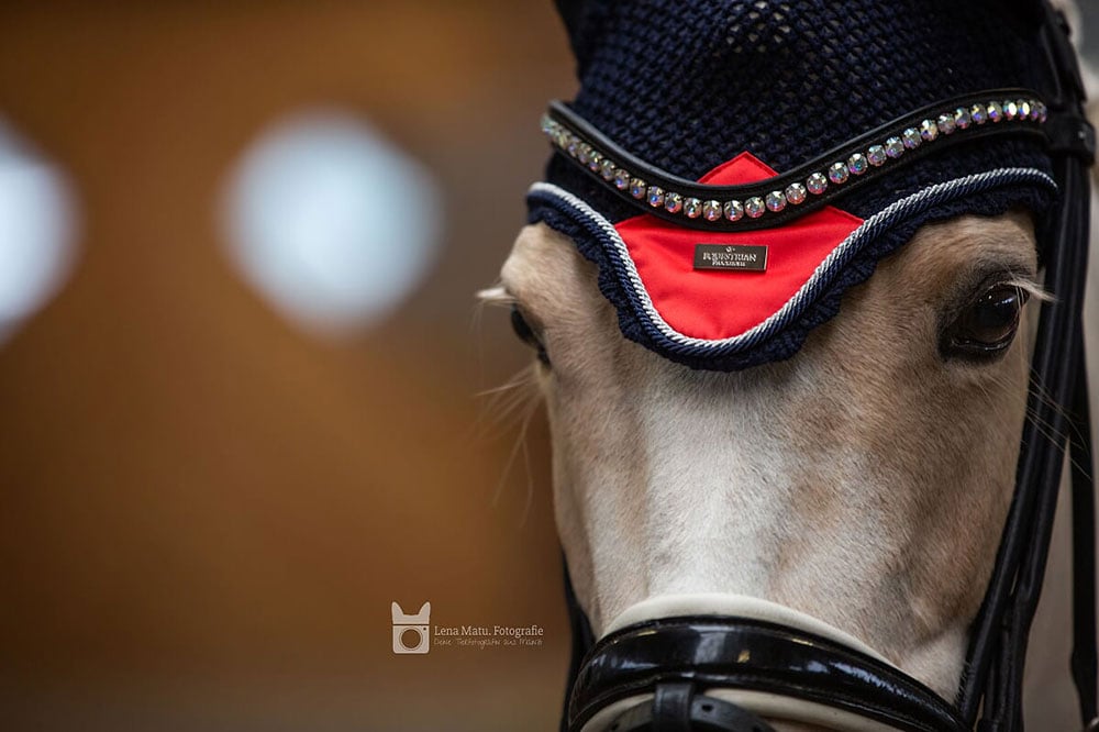 Dressage Saddle Pad Grenadine Cob
