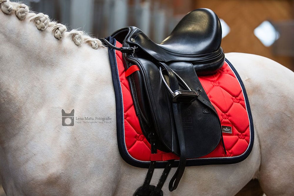 Dressage Saddle Pad Grenadine Cob