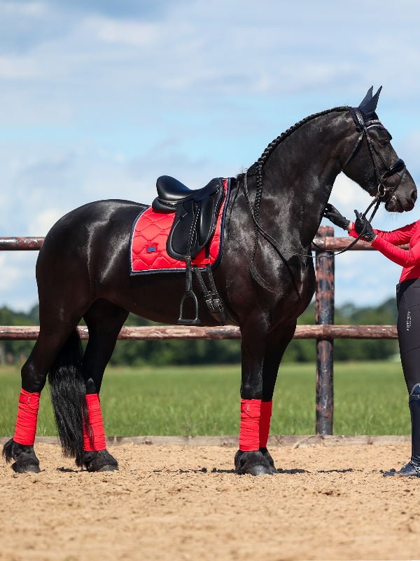 Dressage Saddle Pad Grenadine Full vue 2