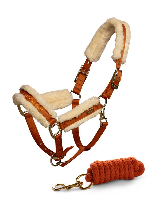 Fur Halter & Lead Rope Bronze Gold vue 1