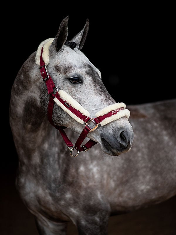 Fur Halter & Lead Rope Bordeaux